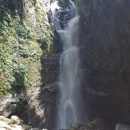 Gede'S Homestay Tejakula Dış mekan fotoğraf